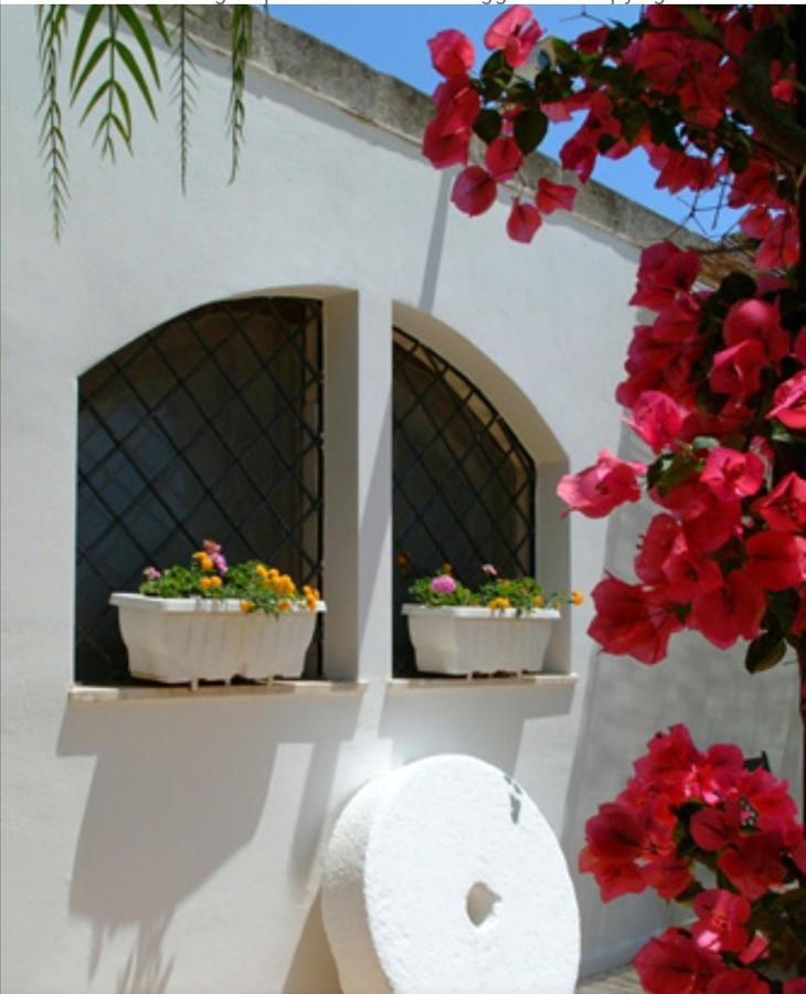 Room In Bb - Stunning Quadruple Room In Ancient Masseria Near The Sea In A Quiet Olive Trees 오스투니 외부 사진