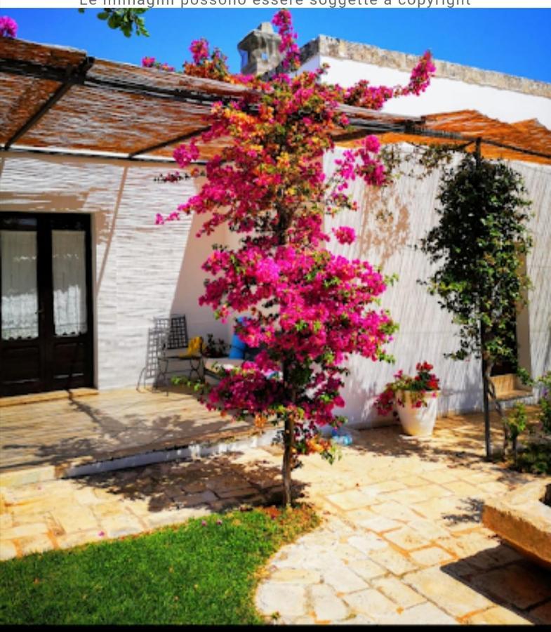 Room In Bb - Stunning Quadruple Room In Ancient Masseria Near The Sea In A Quiet Olive Trees 오스투니 외부 사진