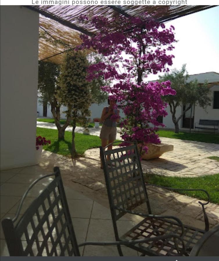 Room In Bb - Stunning Quadruple Room In Ancient Masseria Near The Sea In A Quiet Olive Trees 오스투니 외부 사진