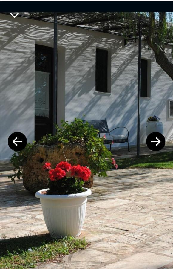 Room In Bb - Stunning Quadruple Room In Ancient Masseria Near The Sea In A Quiet Olive Trees 오스투니 외부 사진