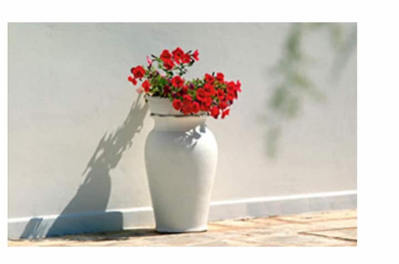 Room In Bb - Stunning Quadruple Room In Ancient Masseria Near The Sea In A Quiet Olive Trees 오스투니 외부 사진