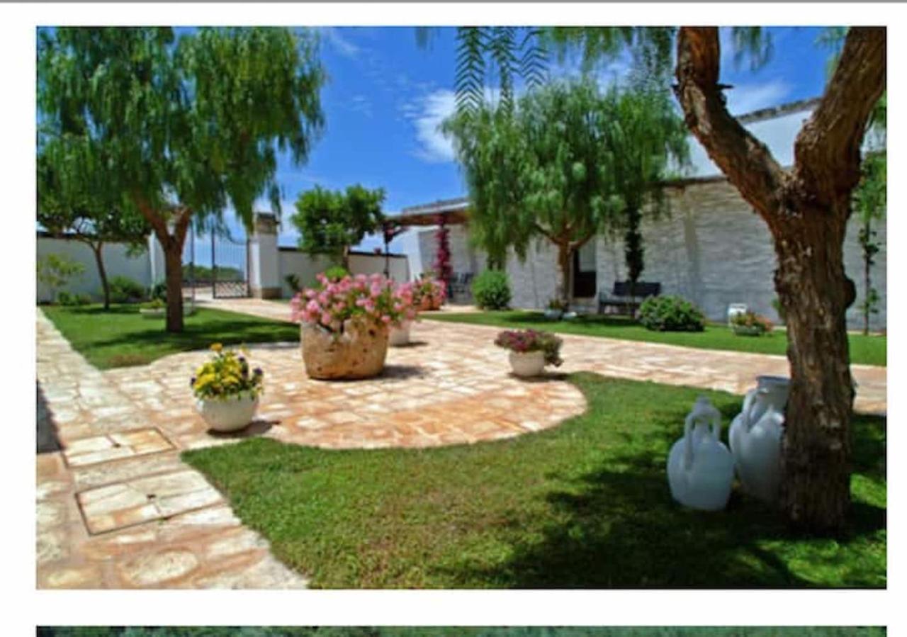 Room In Bb - Stunning Quadruple Room In Ancient Masseria Near The Sea In A Quiet Olive Trees 오스투니 외부 사진