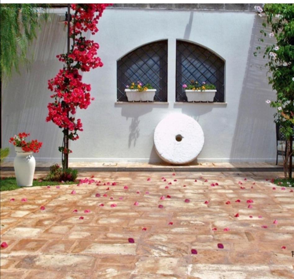 Room In Bb - Stunning Quadruple Room In Ancient Masseria Near The Sea In A Quiet Olive Trees 오스투니 외부 사진