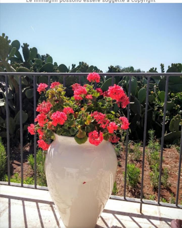 Room In Bb - Stunning Quadruple Room In Ancient Masseria Near The Sea In A Quiet Olive Trees 오스투니 외부 사진